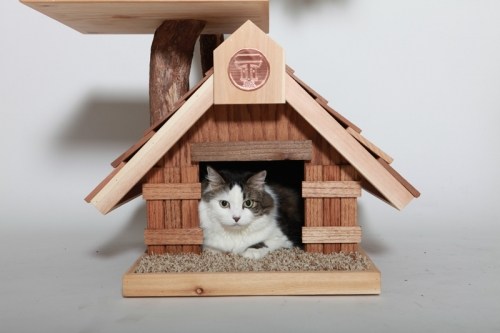 House with Amelia in it close up.jpg